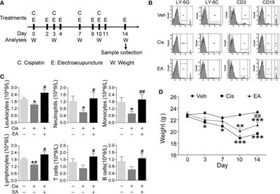 PAC1 Receptor Mediates Electroacupuncture-Induced Neuro and Immune Protection During Cisplatin Chemotherapy